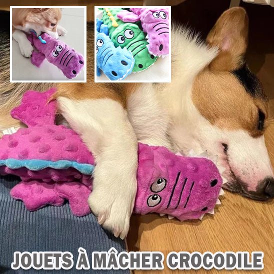 Crocodile en Peluche - RAMSES MEUMEU KAMGANG