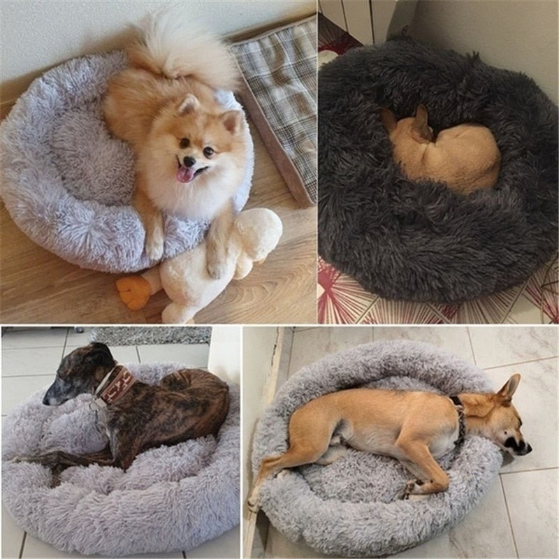 DoggyPouf™- Coussin doux pour chien - doghousemood